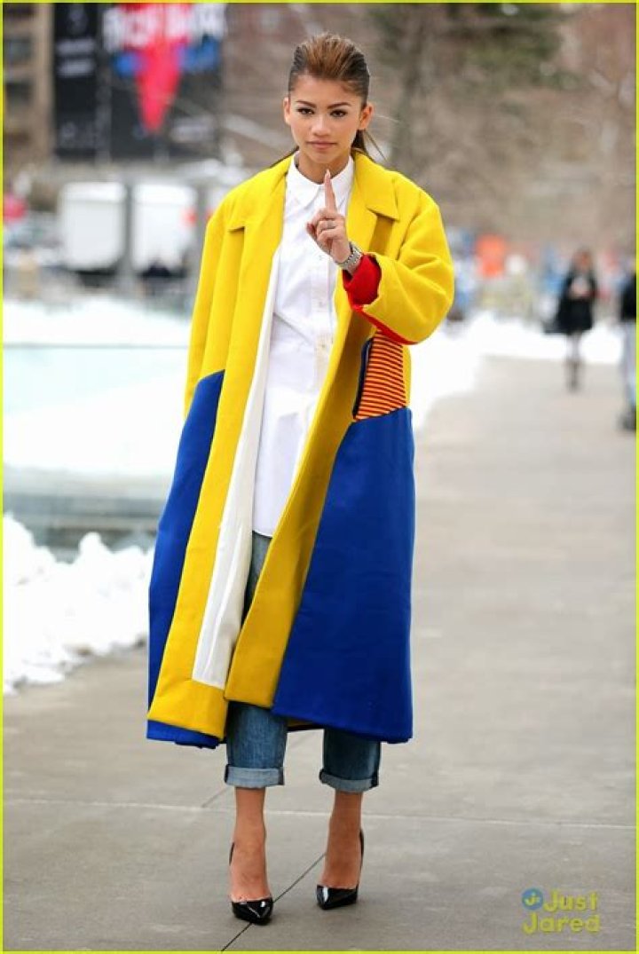 Zendaya in 2014: A Rising Star Shining Bright