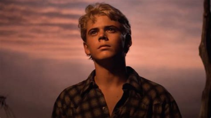 Discover the Story of Ponyboy Curtis: The Essential Guide
