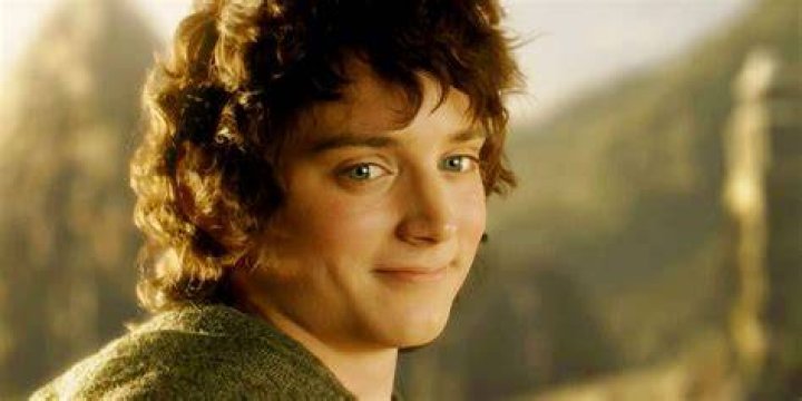 Actor Sean who played hobbit Samwise Gamgee in three movies