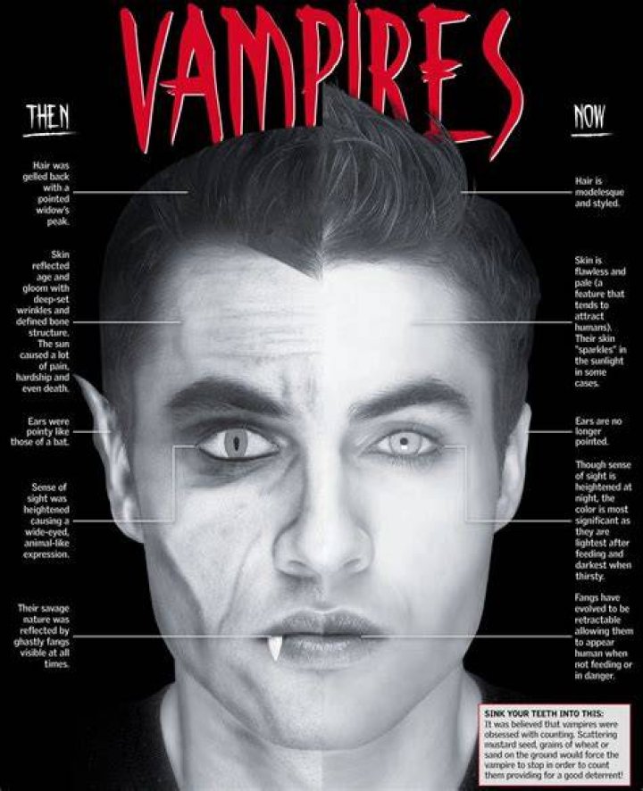 Animal associated with vampires