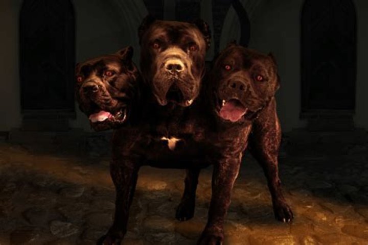 Are 3 headed dogs real?