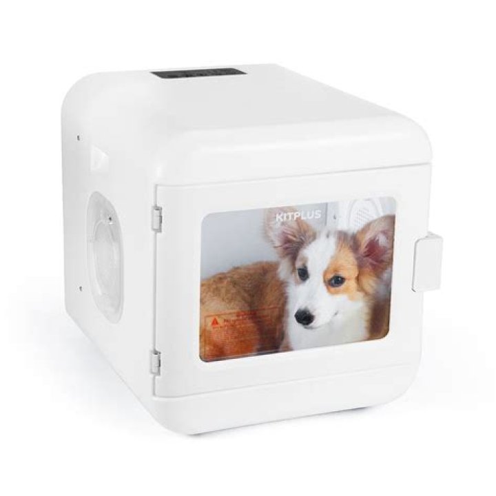 Are cage dryers safe for dogs?