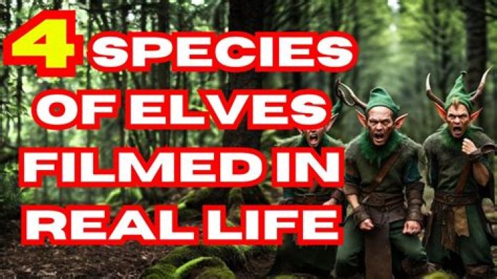 Are elfs alive?