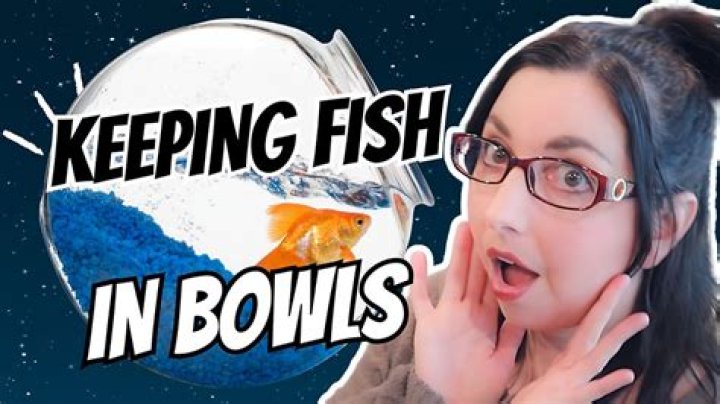 Are fish bowls cruel?
