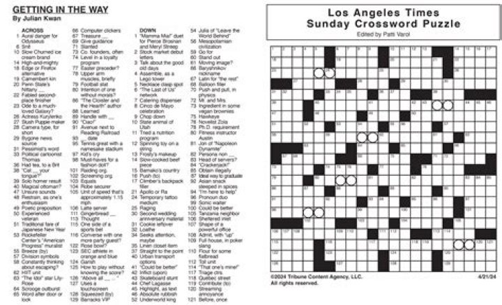 Attention-starved Crossword Clue LA Times