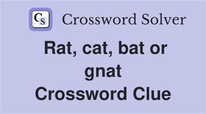 Bat, rat or cat, but not a gnat NYT Crossword Clue
