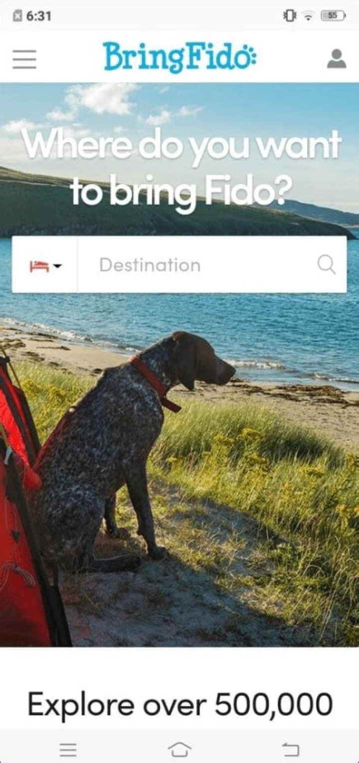 The Ultimate Guide to Dog-Friendly Toronto: Discover the Best Spots for Fido