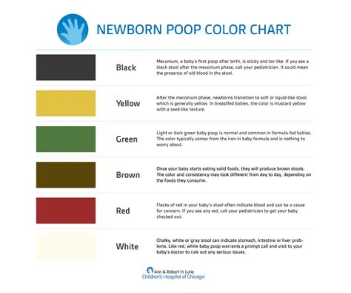 Can a newborn pee too much?