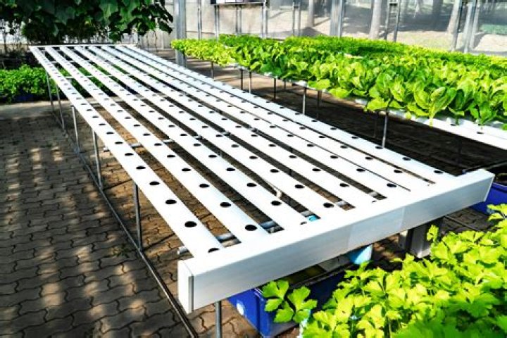 Can an NFT be bought twice?