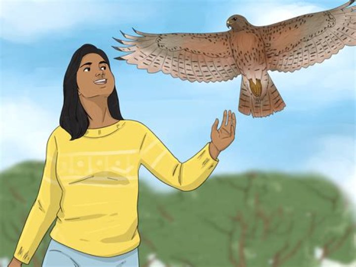 Can birds sense a good person?