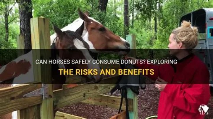 Can horses eat donuts?