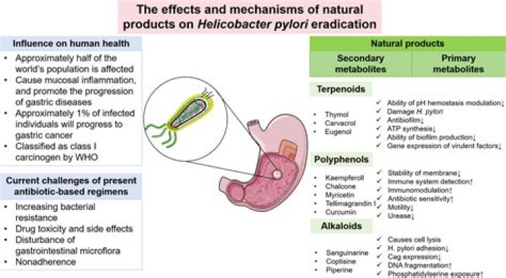 Can I get rid of H. pylori naturally?