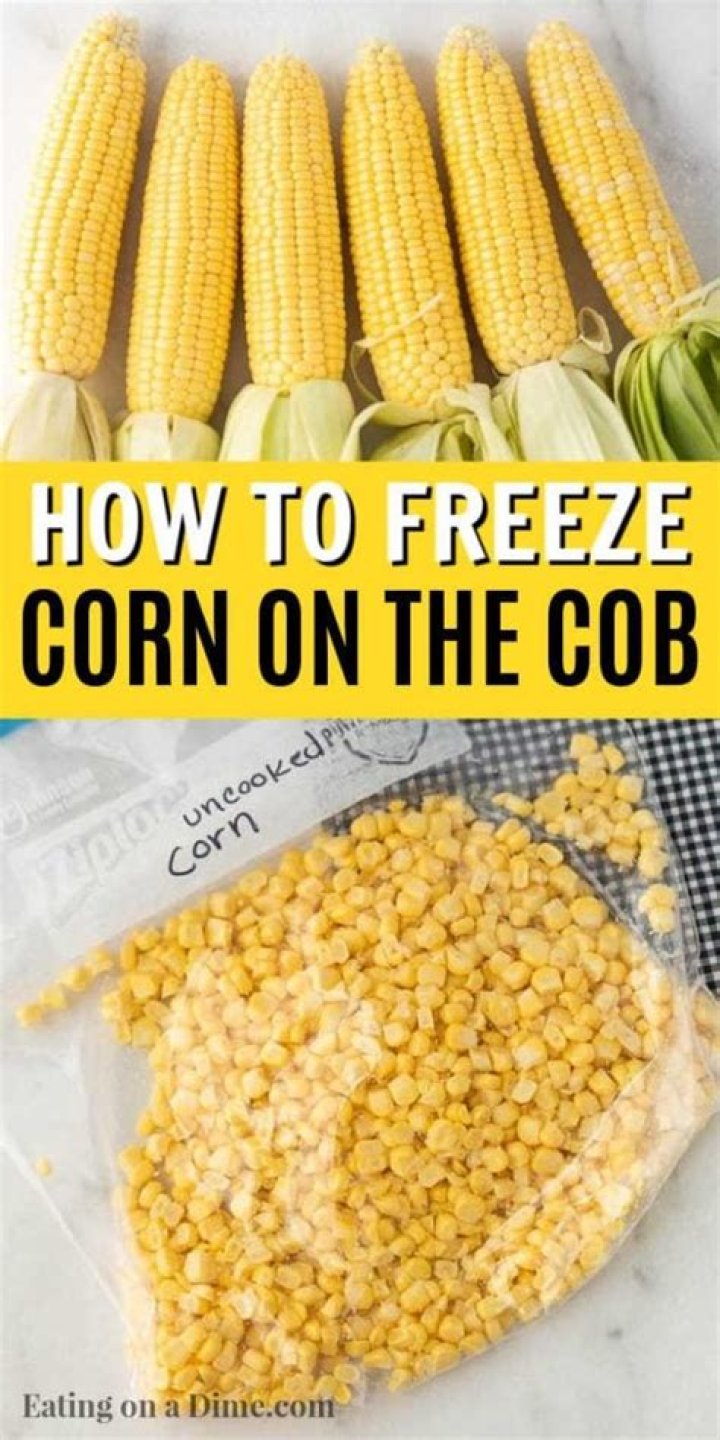 Can you freeze corn on the cob in the husk?