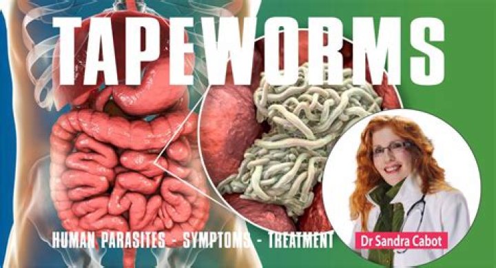 Can you have a tapeworm in your nose?