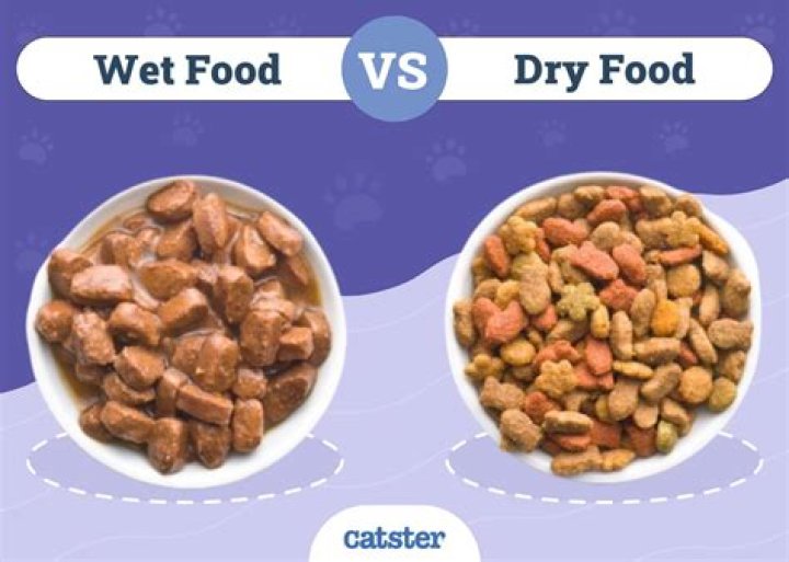 Can you mix wet and dry puppy food?