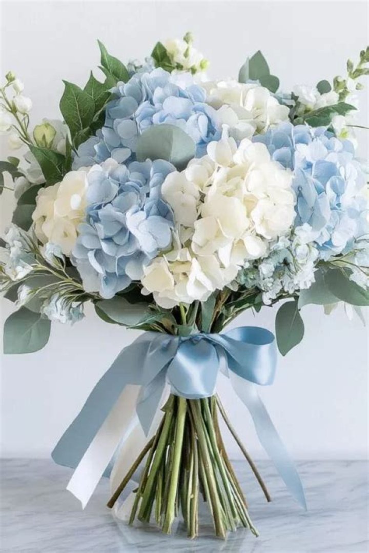 Can you turn white hydrangeas blue?