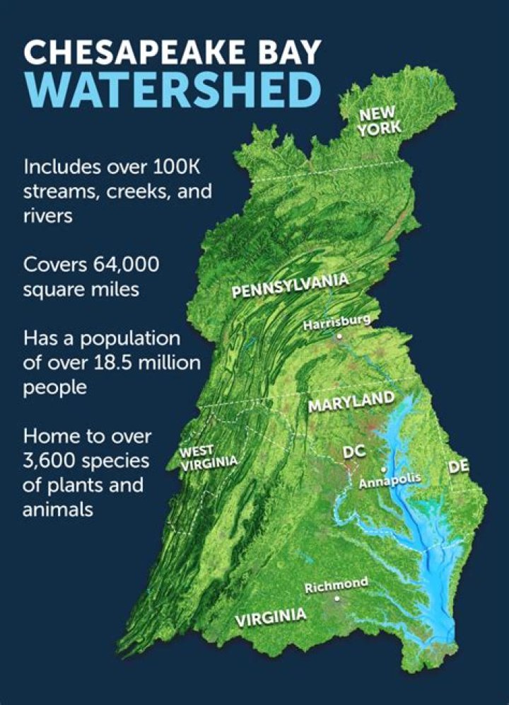 Chesapeake ___ (body of water by Maryland)