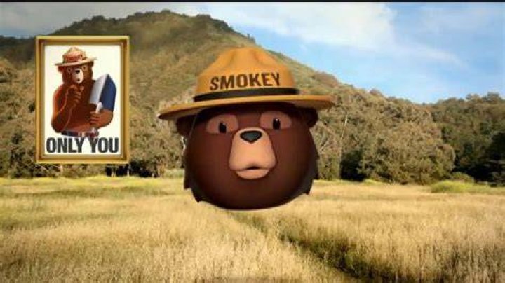 Commercial featuring Smokey Bear for example: Abbr.