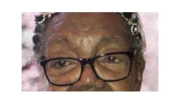 Daily Journal Vineland: Your Gateway to Local News and Community Updates