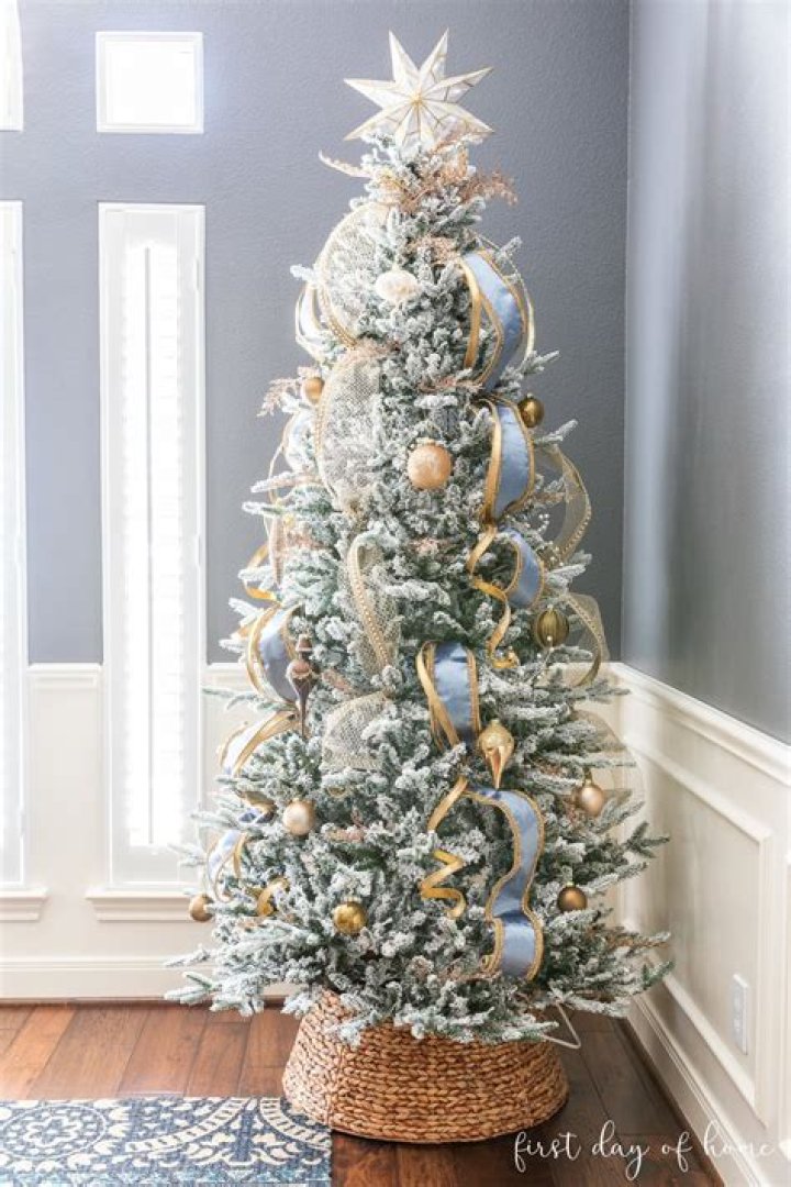 Decorations for Pencil Tree: A Comprehensive Guide to Enhance Your Holiday Spirit