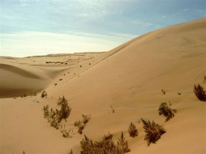 Desert in Mongolia and China