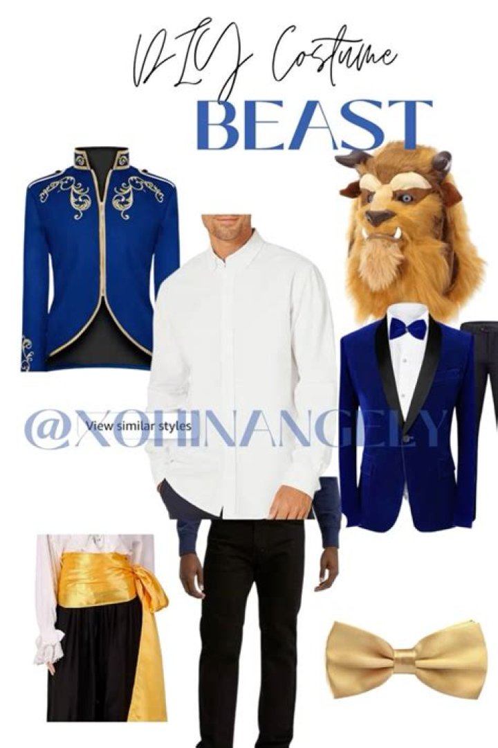 DIY Beast Costume from Beauty and the Beast: A Complete Guide for Beginners