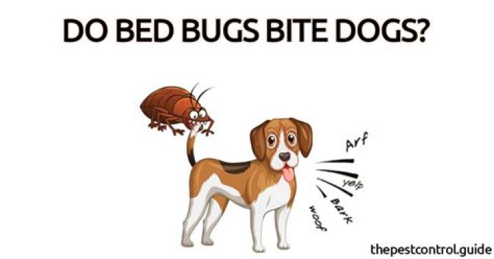 Do bed bugs bite dogs?