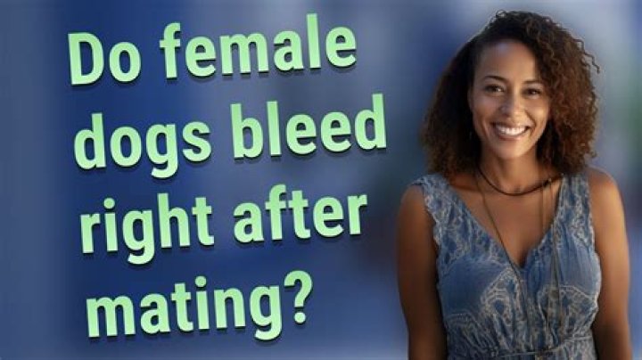 Do female dogs bleed after mating?