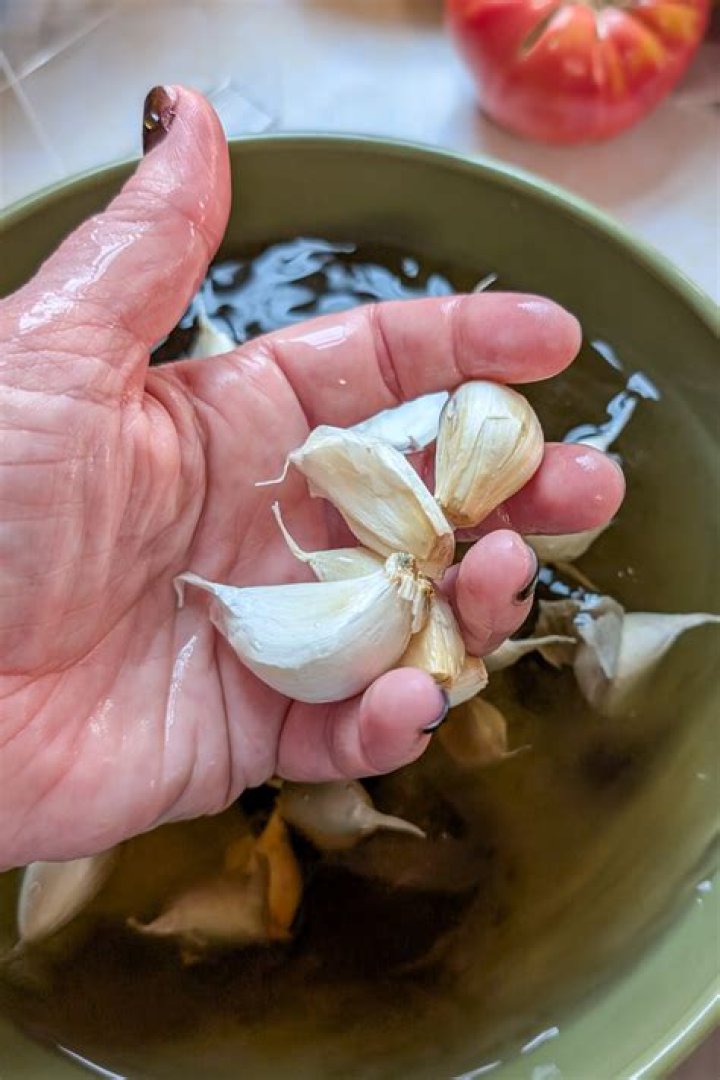 Do you soak garlic before planting?