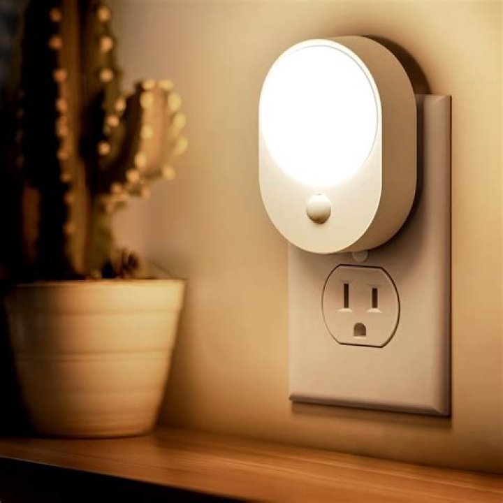 Does a dog need a night light?