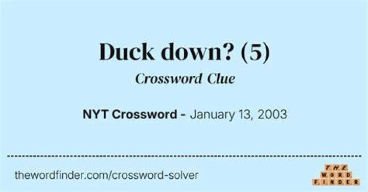 Duck, duck follower NYT Crossword Clue