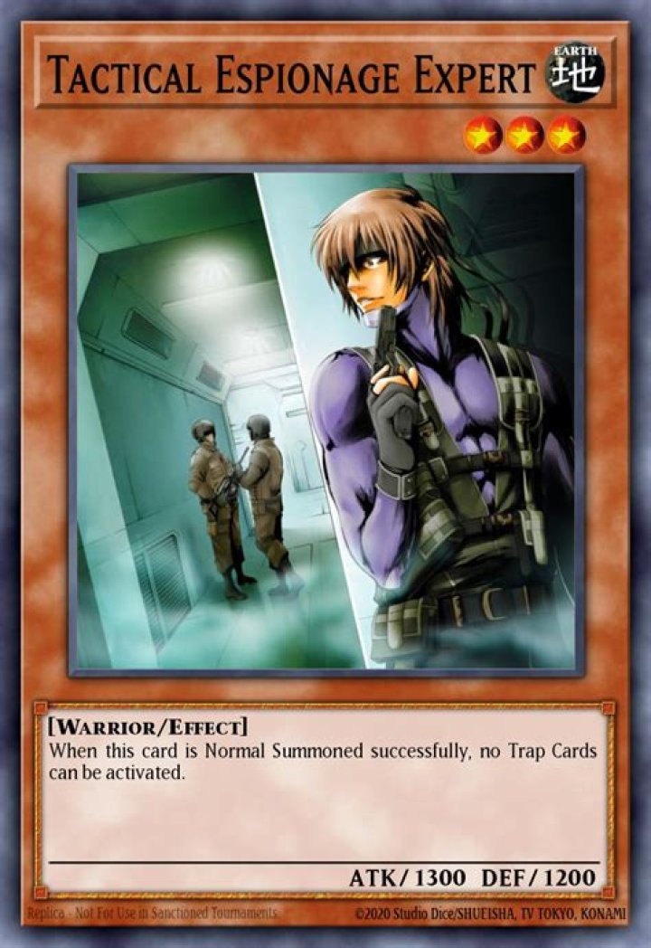 Espionage expert