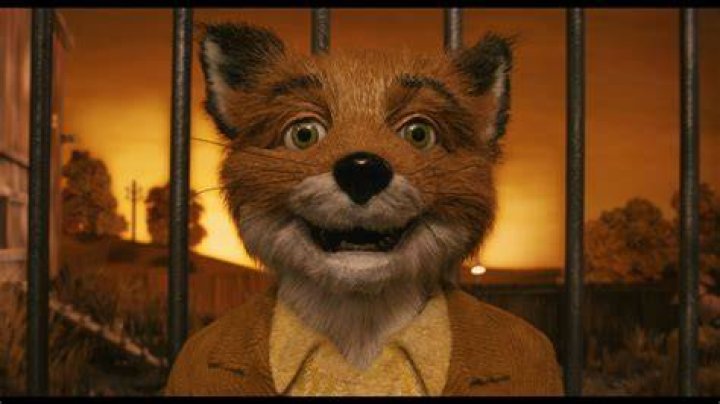Fantastic Mr. Fox director Anderson