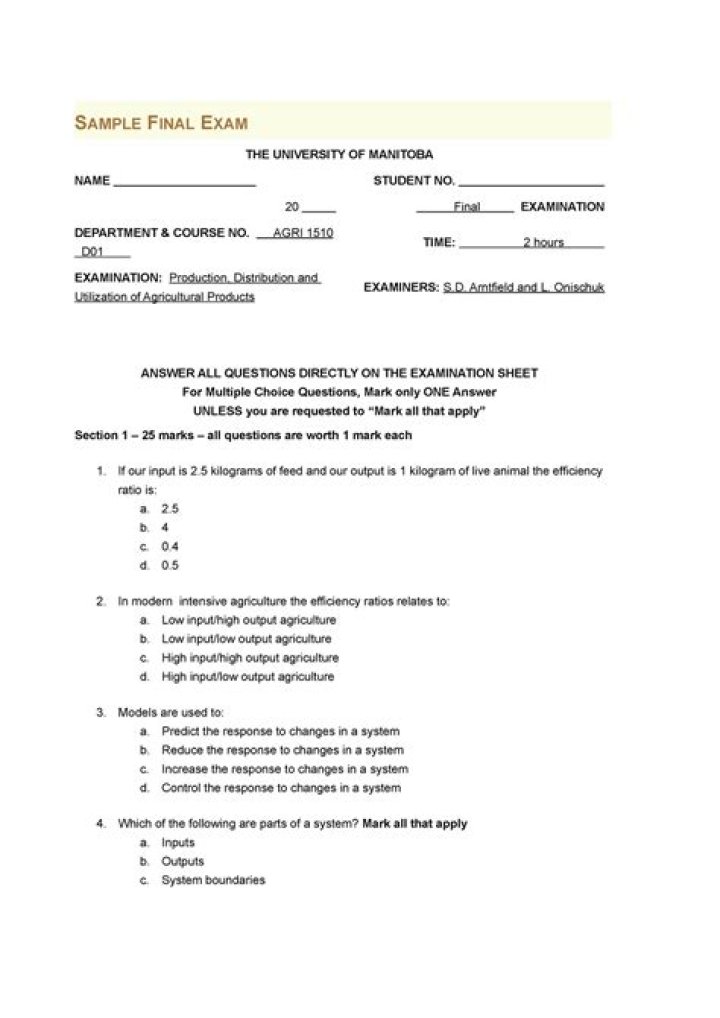 Final exam for example