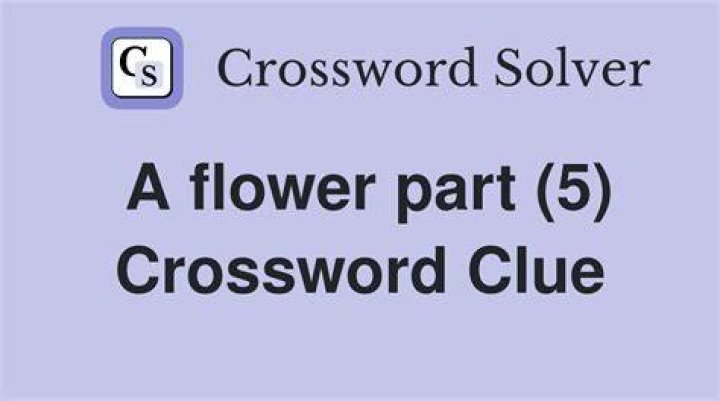 Flower Part 5 Letters Crossword Clue