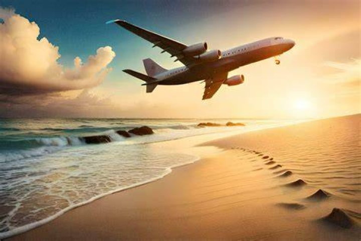 Fly over a beach, say Crossword Clue Find Answer for Fly over a beach, say Eugene Sheffer Crossword - News