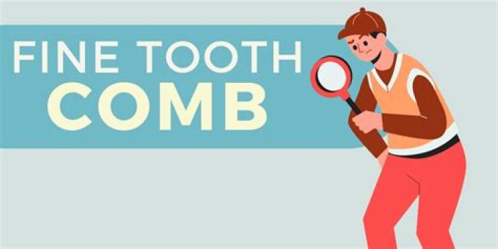 Go ___ with a fine-tooth comb