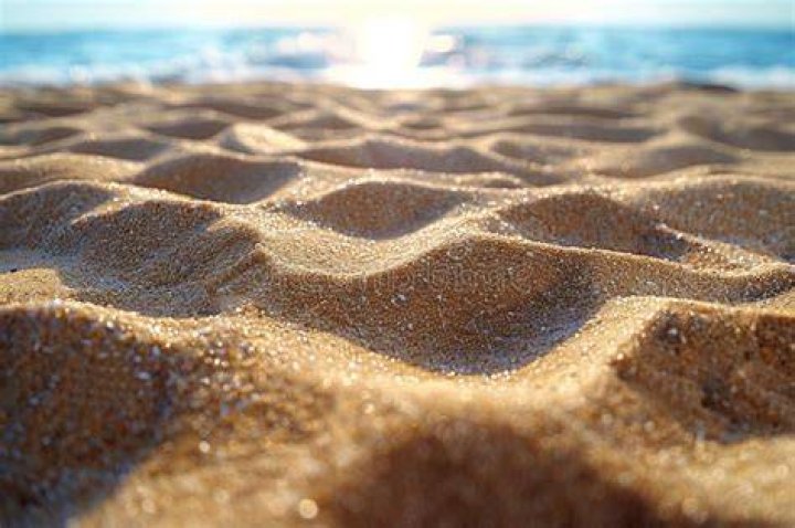 Grains near the ocean
