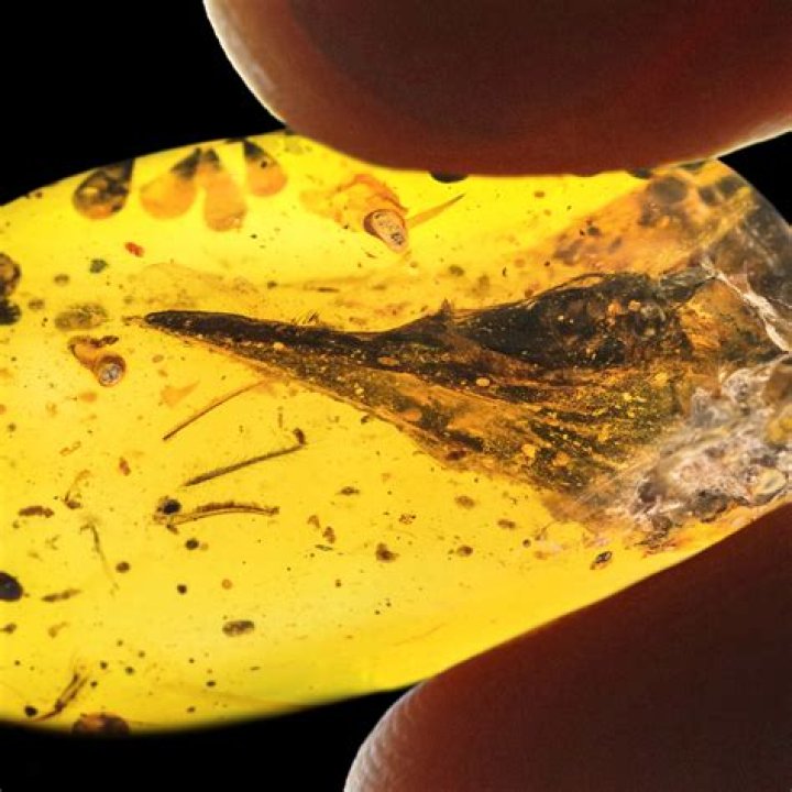 Has the original Amber Room been found?