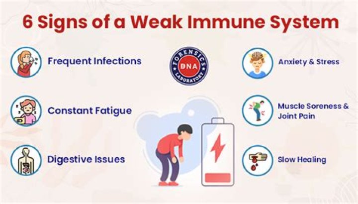 How can you check your immune system?