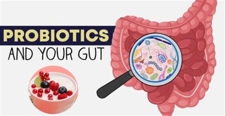 How can you tell probiotics are working?