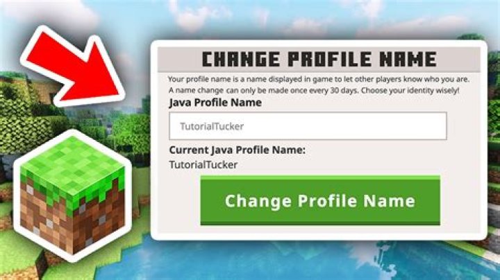 How do I change my SSO ID username?