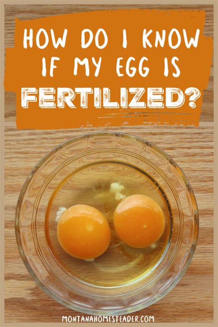 How do I know if my milk is drying up?