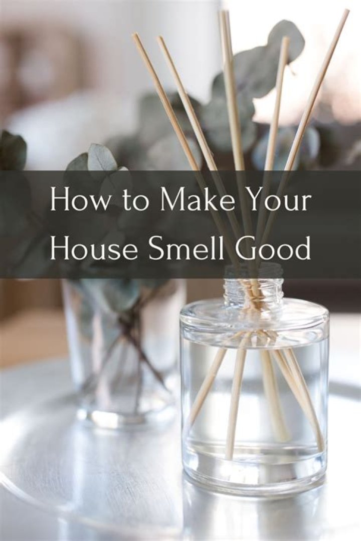 How do I make my house smell like Zoflora?