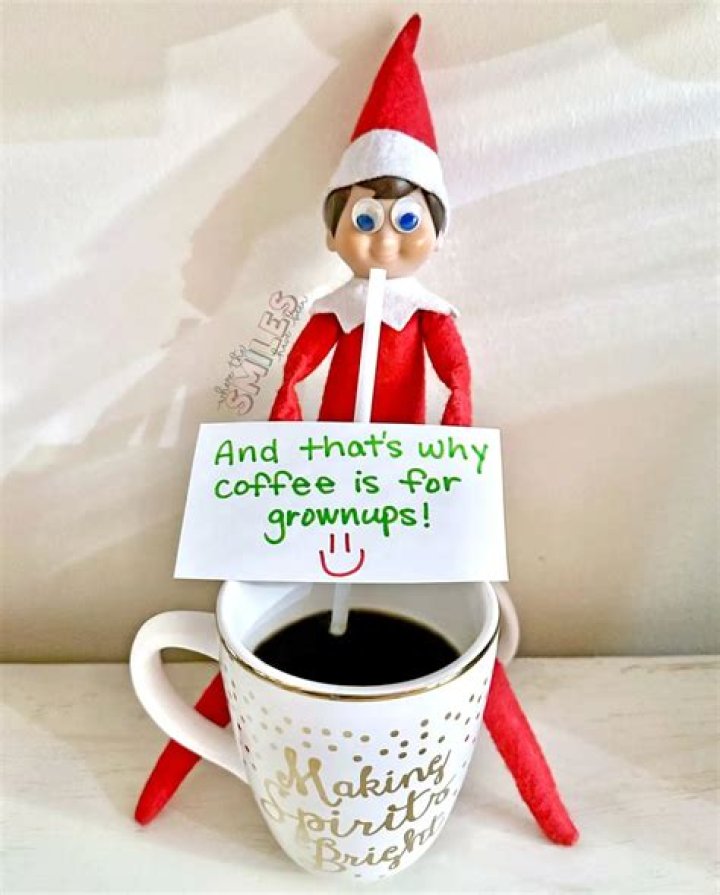 How do you find an elf in your house?