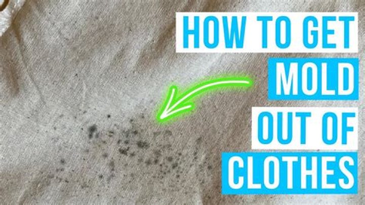 How do you get rid of mould permanently?