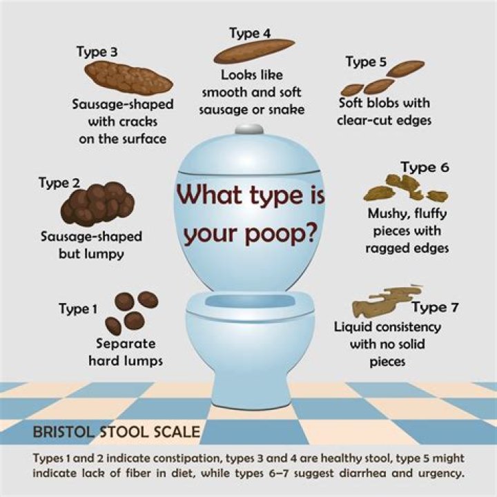 How do you make yourself poop while on the toilet?