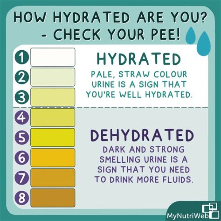How do you test a toilet with dye?