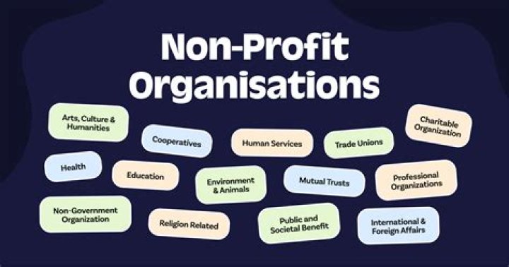 How is a non profit organization set up?