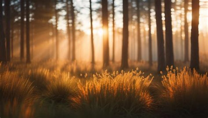 How long can birds go without water?